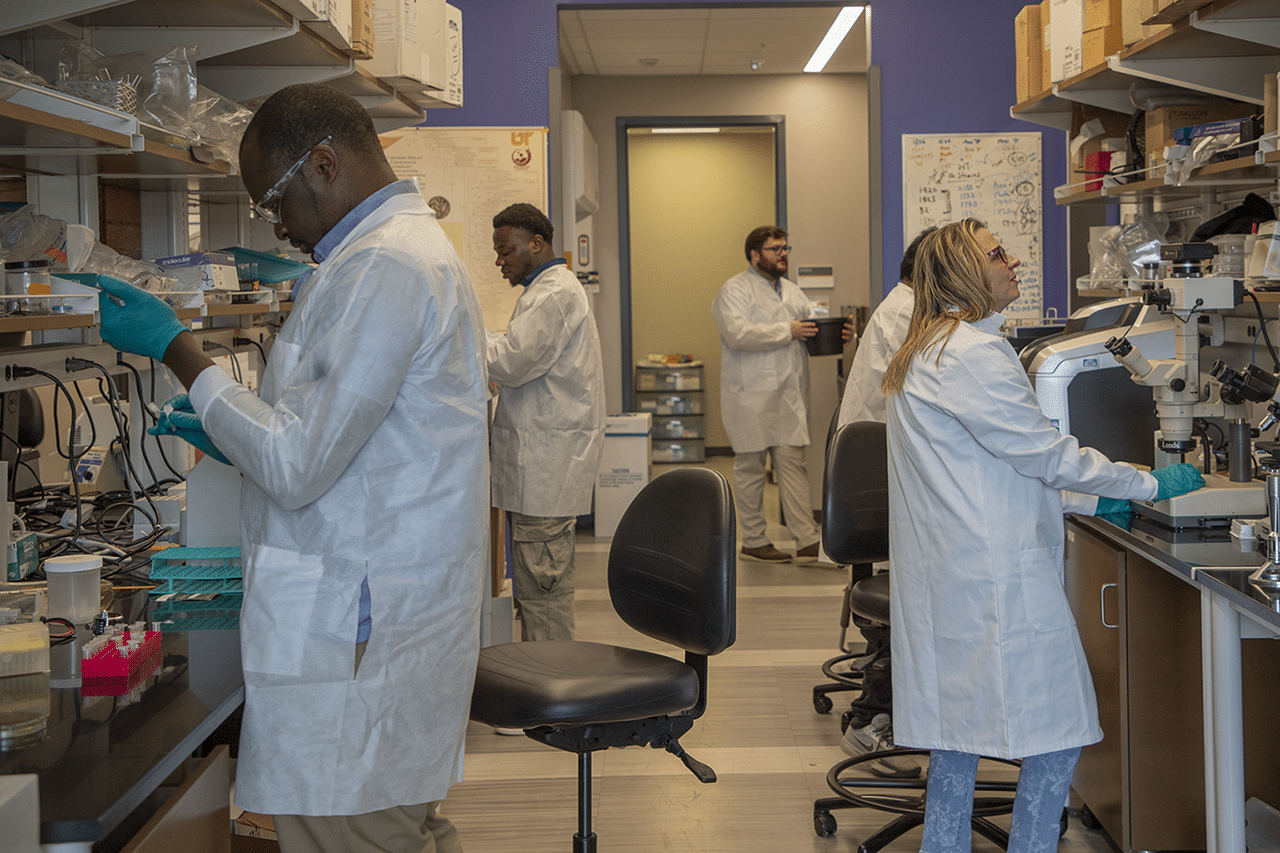 Fulbright Visiting Scholar Researches Tropical Diseases